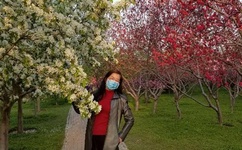 日本BBW丰满牲交片